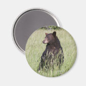 Aimant d'ours noir (Recto/Verso)