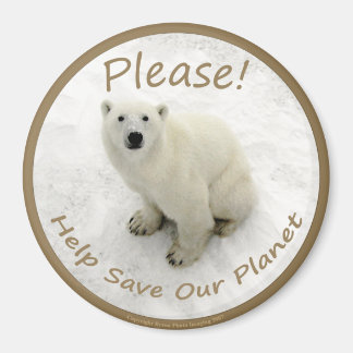 Aimant d'ours polaire