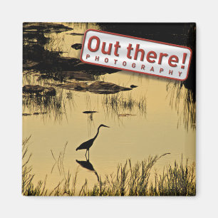 Aimant d'OUTTHERE