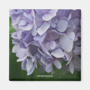 Aimant doux de photo de fleur d'hortensia -