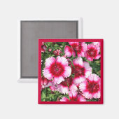 Aimant doux william1Magnet (Recto/Verso)