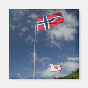 Aimant Downtown historic port area of Bergen wth flags