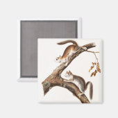 Aimant Downy Brown Squirrel House (Recto/Verso)