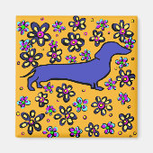 Aimant Doxie (Devant)