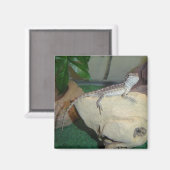 Aimant Dragon à bébé (Recto/Verso)