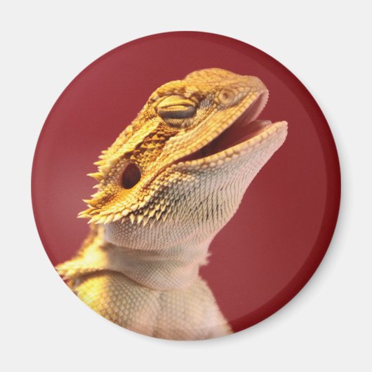 Aimant Dragon à coeur de rire (Devant)