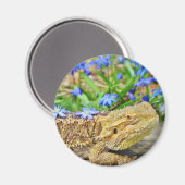 Aimant Dragon assif (Recto/Verso)