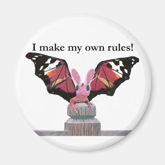 Aimant Dragon Avec Oreilles De Lapin (Devant)