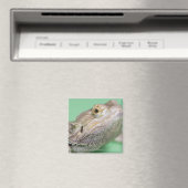 Aimant Dragon barbu 2 (In Situ (Lave-vaisselle))