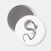 Aimant Dragon blanc (Recto/Verso)