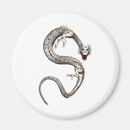 Aimant Dragon blanc (Devant)