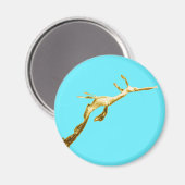 Aimant Dragon de mer Golden Weedy (Recto/Verso)