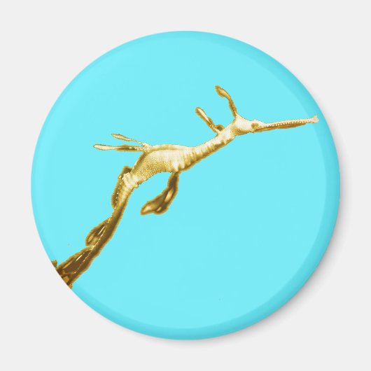 Aimant Dragon de mer Golden Weedy (Devant)