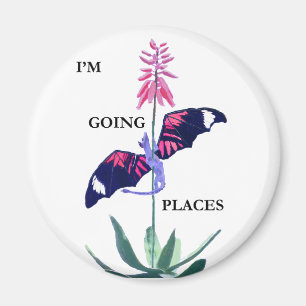 Aimant Dragon et Cactus