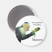 Aimant Dragon et singe (Recto/Verso)