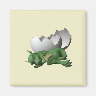Aimant Dragon nouveau-né