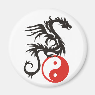 Aimant Dragon Yin & Yang