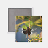 Aimant DragonFly (Recto/Verso)