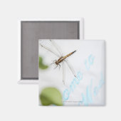 Aimant Dragonfly 4 (Recto/Verso)