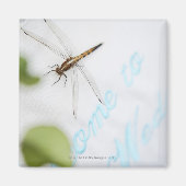 Aimant Dragonfly 4 (Devant)