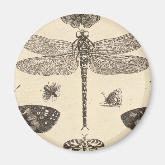 Aimant Dragonfly ( détail ) Art Vintage (Devant)