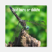 Aimant Dragonfly Nature Personalized (Devant)