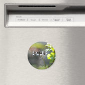 Aimant Dragonfly noir et blanc (In Situ (Lave-vaisselle))