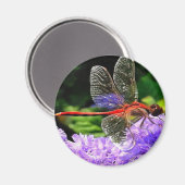 Aimant Dragonfly rouge sur Violet Violet Fleurs (Recto/Verso)