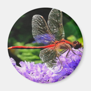 Aimant Dragonfly rouge sur Violet Violet Fleurs