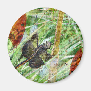 Aimant Dragonfly, s'envoler