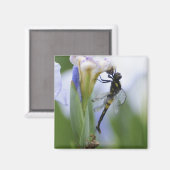 Aimant Dragonfly sur iris (Recto/Verso)