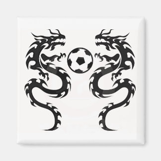 Aimant dragons