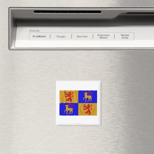 Aimant Drapeau d'agitation de Kalmar län (In Situ (Lave-vaisselle))