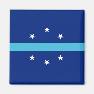 Aimant Drapeau d'Anaheim (Californie, USA)