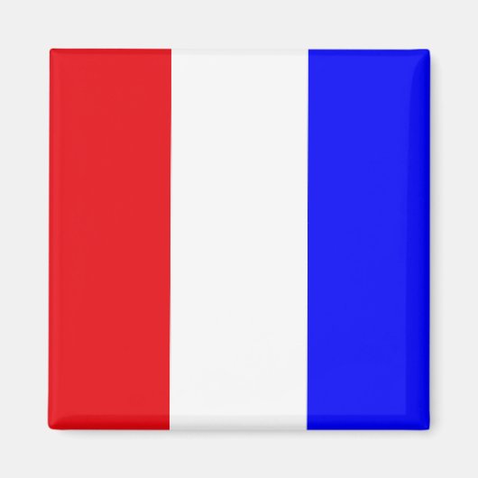 Aimant Drapeau de code de signaux "T" (Tango) (Devant)