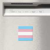 Aimant Drapeau de fierté transgenre de SlipperyJoe divers (In Situ (Lave-vaisselle))