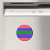 Aimant Drapeau de fierté trigender (In Situ (Lave-vaisselle))