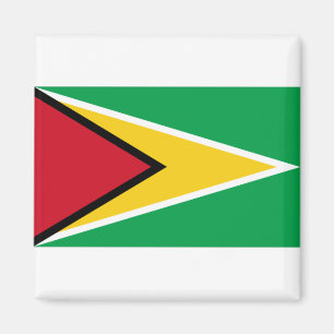 Aimant Drapeau de Guyana