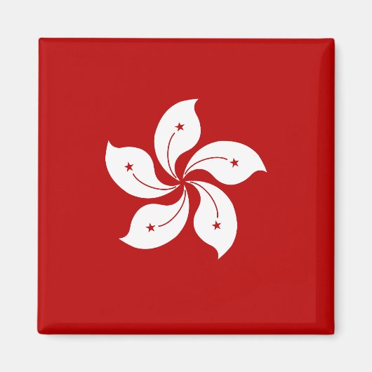 Aimant Drapeau de haute qualité de Hong Kong (Devant)