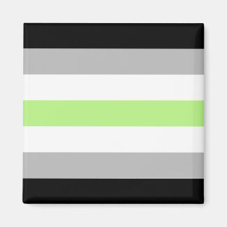 Aimant Drapeau de la fierté agender - Identité agender LG