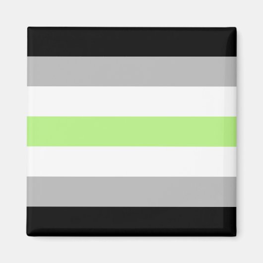Aimant Drapeau de la fierté agender - Identité agender LG (Devant)