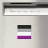 Aimant Drapeau de la fierté asexuelle (In Situ (Lave-vaisselle))