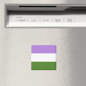 Aimant Drapeau de la fierté de genre (In Situ (Lave-vaisselle))
