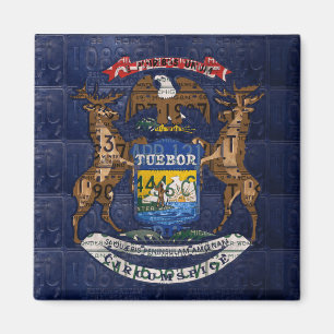 Aimant Drapeau de l'État du Michigan dans les plaques d'i