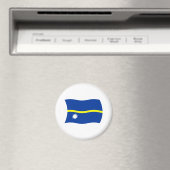 Aimant Drapeau de Nauru (In Situ (Lave-vaisselle))