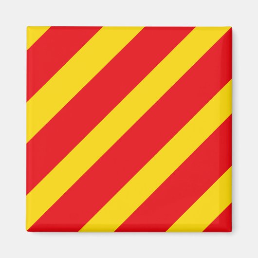 Aimant Drapeau de signalisation lettre Y (Devant)