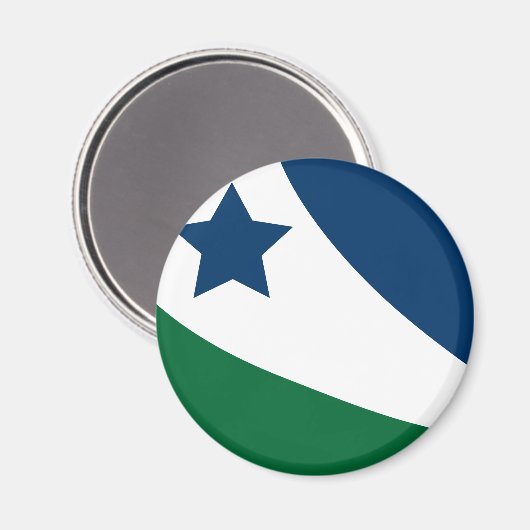 Aimant Drapeau de Spring Hill, Tennessee (Recto/Verso)