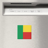 Aimant Drapeau du Bénin (In Situ (Lave-vaisselle))