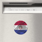 Aimant Drapeau du Paraguayan (In Situ (Lave-vaisselle))