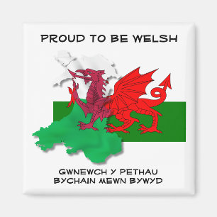 Aimant DRAPEAU gallois DE WALES Dragon rouge Citation St